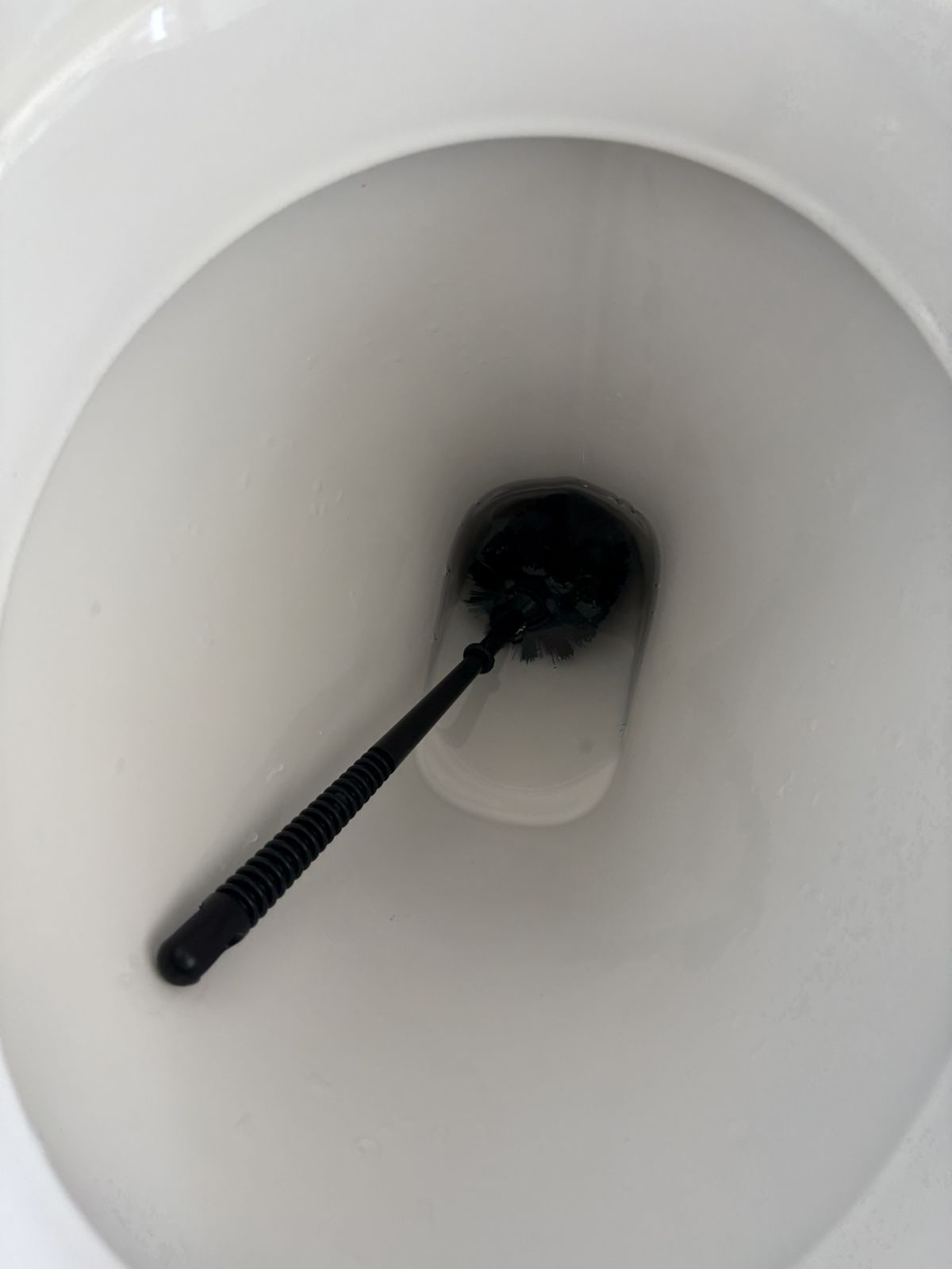 Toalettborsten placerad i toalettstolen.