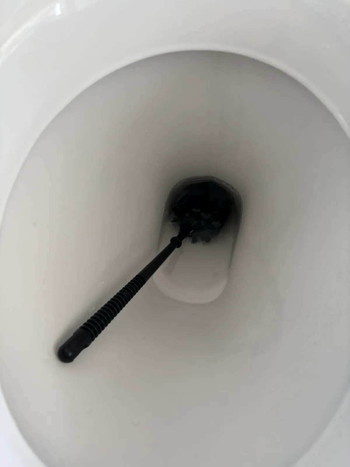 Toilet brush positioned inside the toilet bowl.